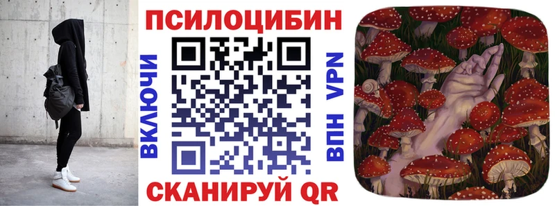 мега   Североуральск  Псилоцибиновые грибы Cubensis 
